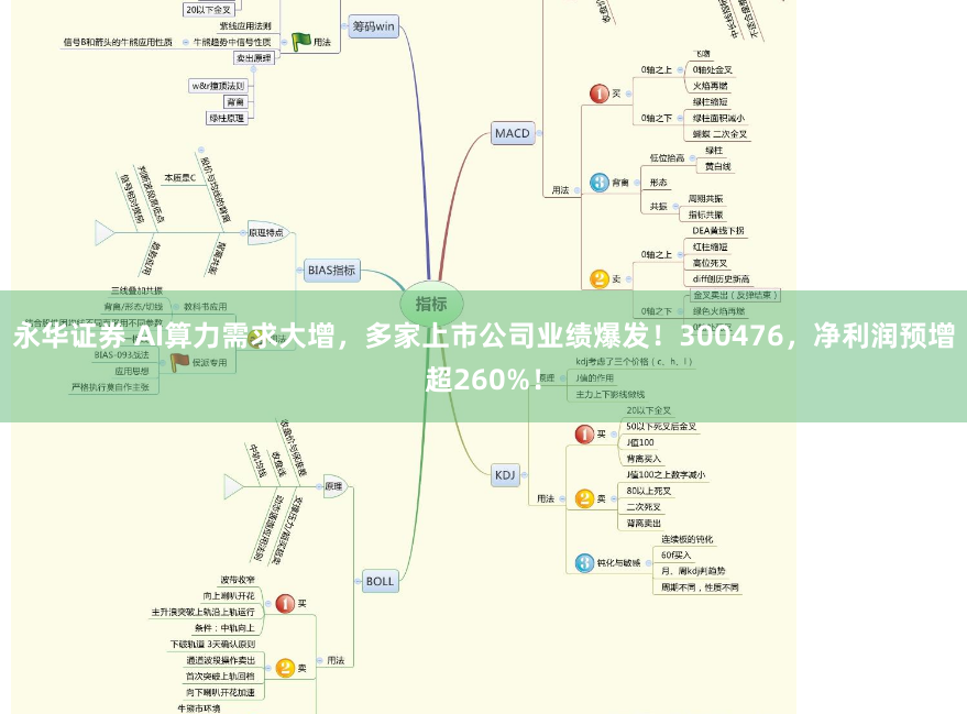 永华证券 AI算力需求大增，多家上市公司业绩爆发！300476，净利润预增超260%！